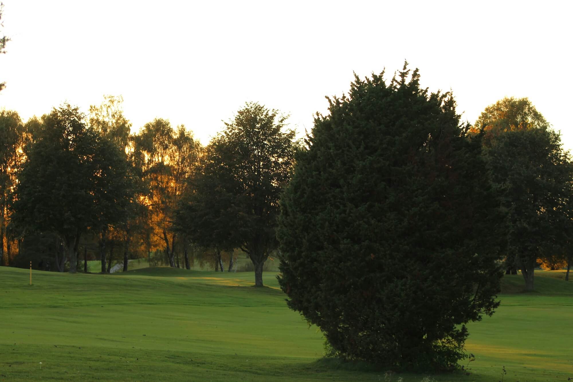 Golf Course Operations Simplified: A Manager’s Guide to Success