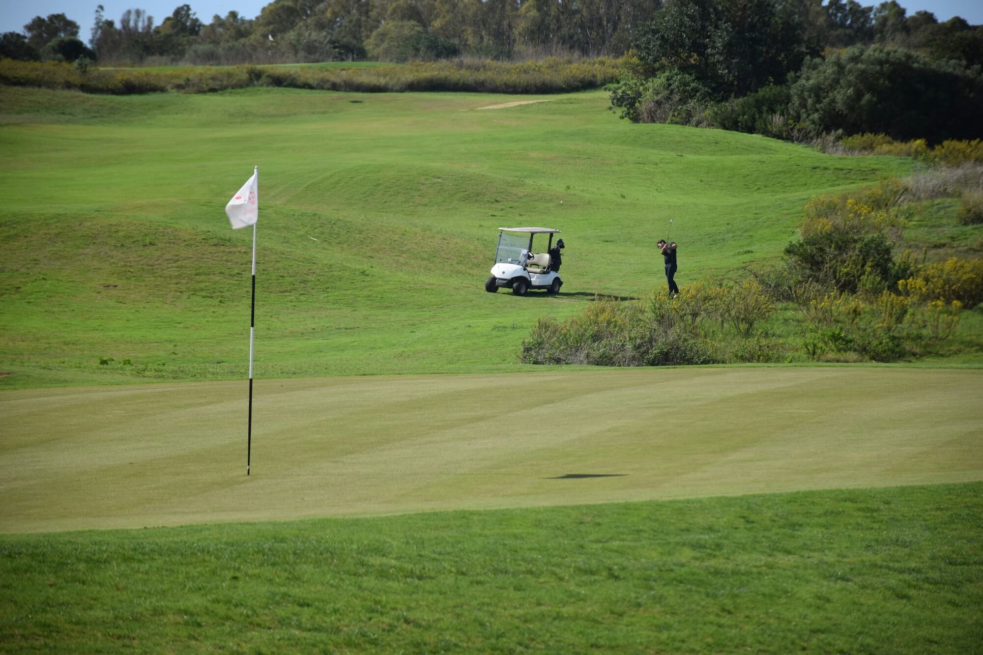 Local Golf Course Management Services That Can Transform Your Business
