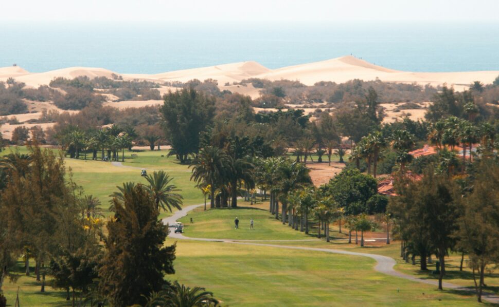 What Is Golf Course Management? A Beginner’s Guide