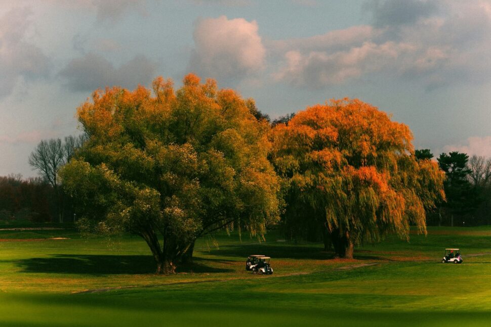 Why Sustainable Practices Matter in Golf Course Management