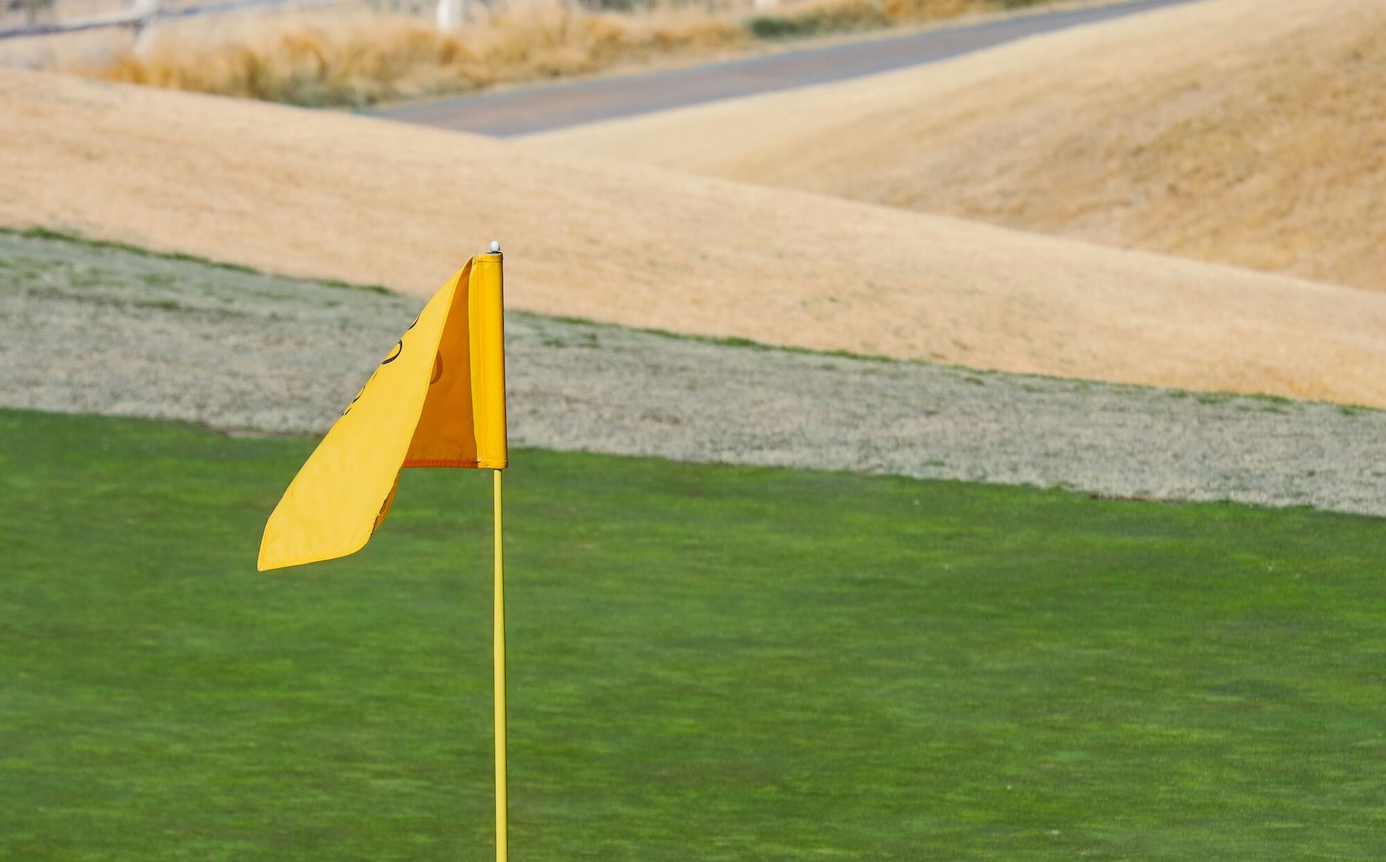 How Golf Course Management Companies Are Revolutionizing Player Experiences
