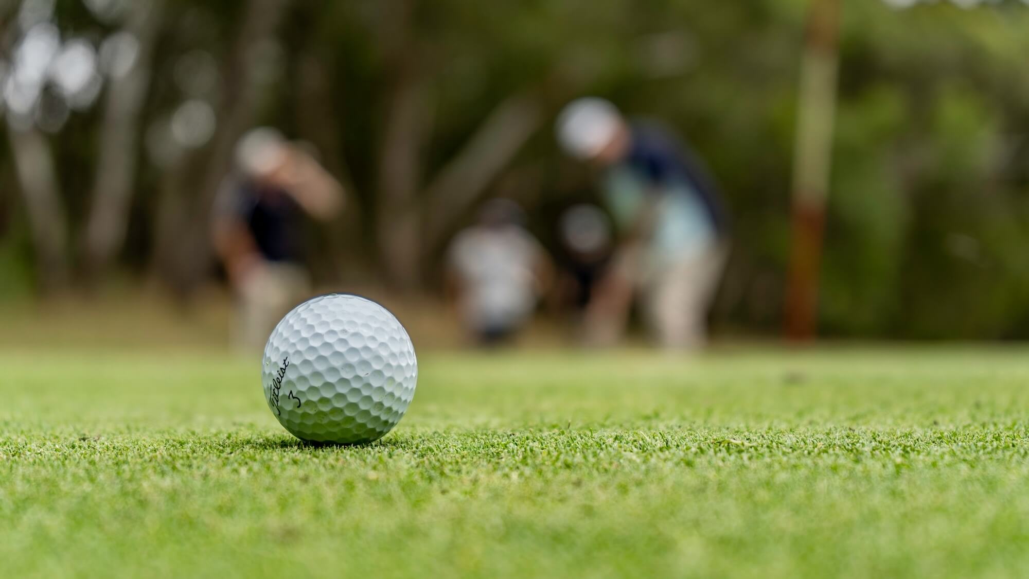 The Best Golf Course Management Tools for Enhancing Player Experience