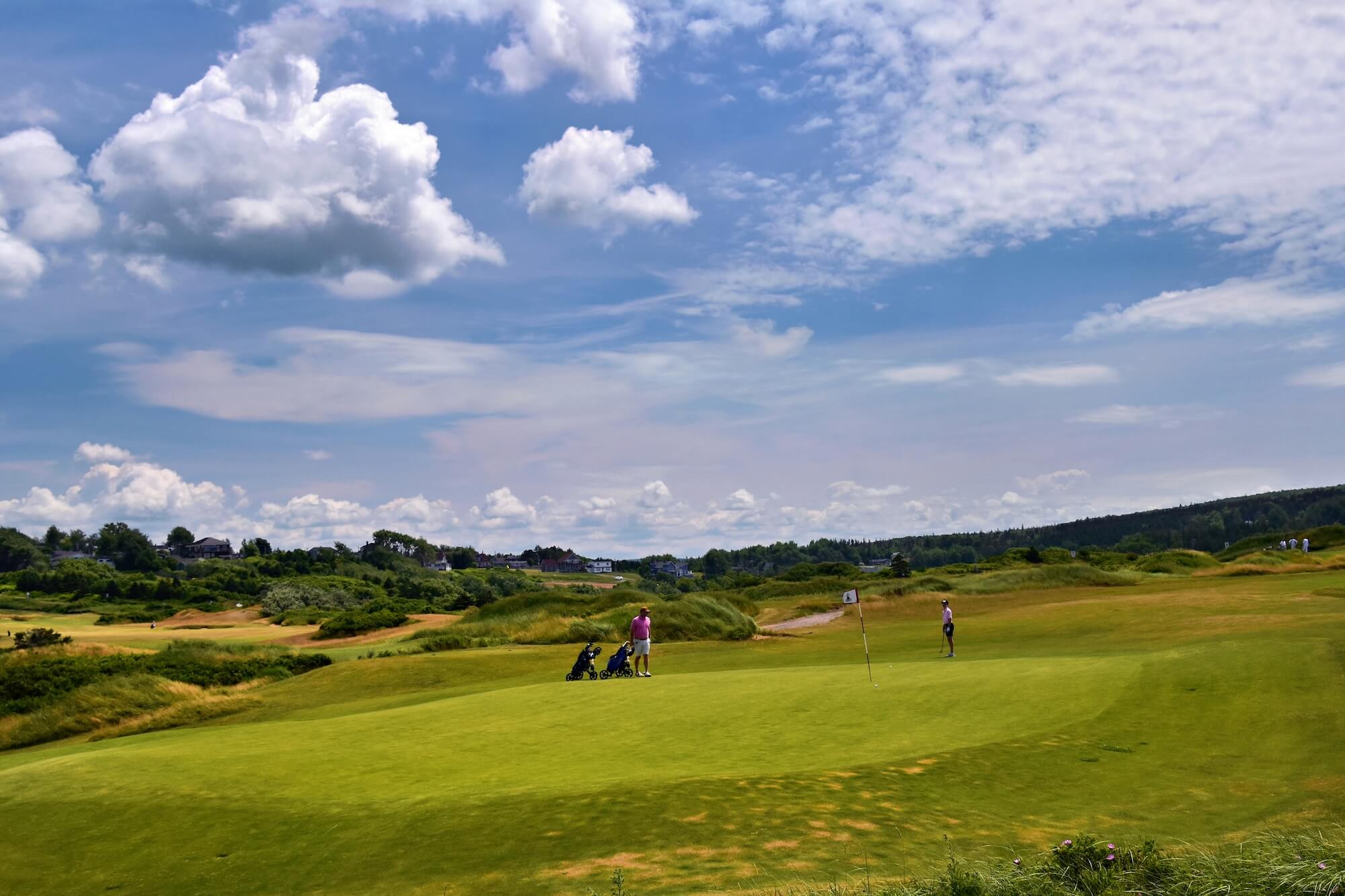 What Golfers Want: Insights for Golf Course Managers