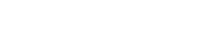 starship_white 1